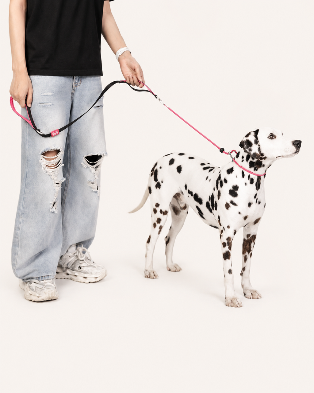 Heavy Duty Dog Leash