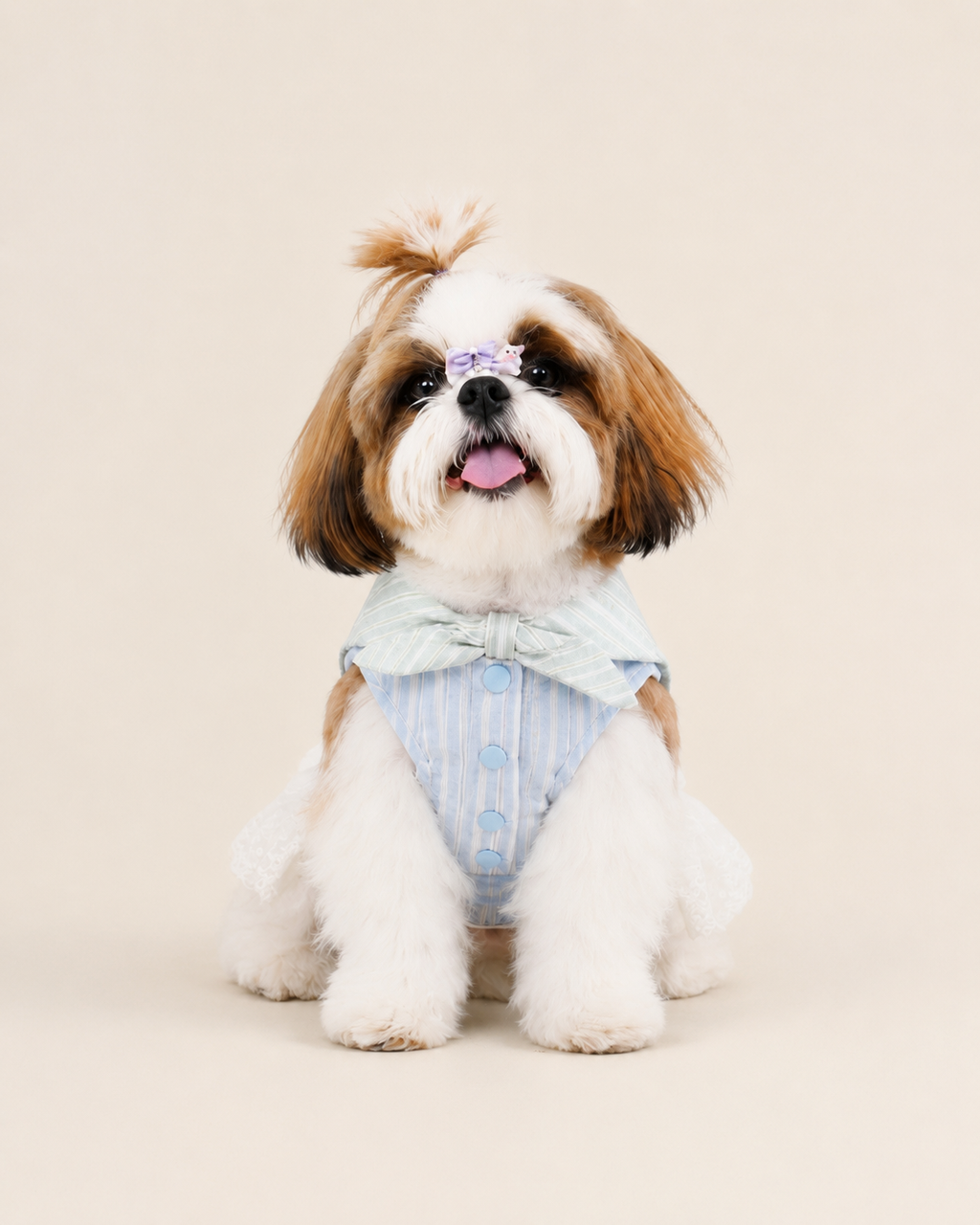 Preppy Cotton-Blend Pet Dress