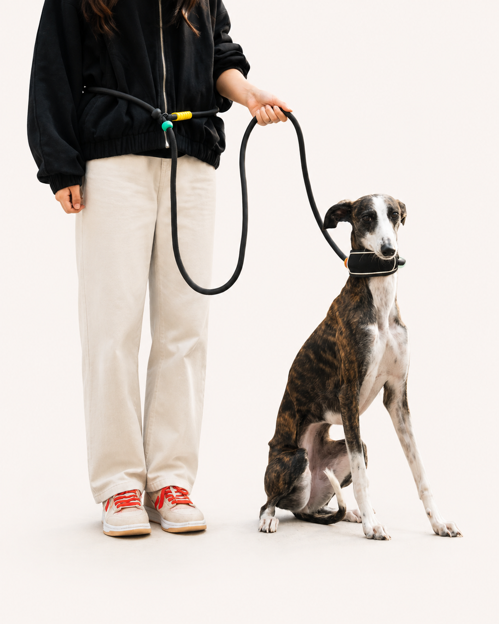Multi-Function Hands-Free Dog Leash