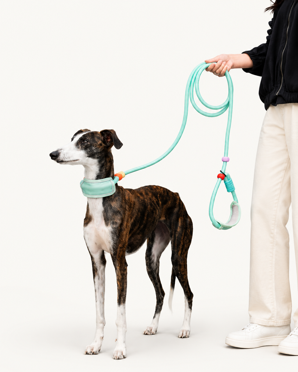 Multi-Function Hands-Free Dog Leash