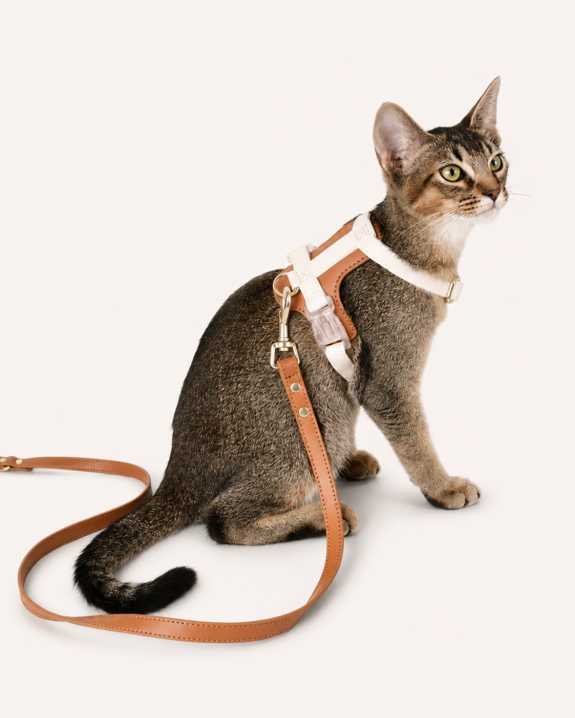 Premium Leather Cat Leash