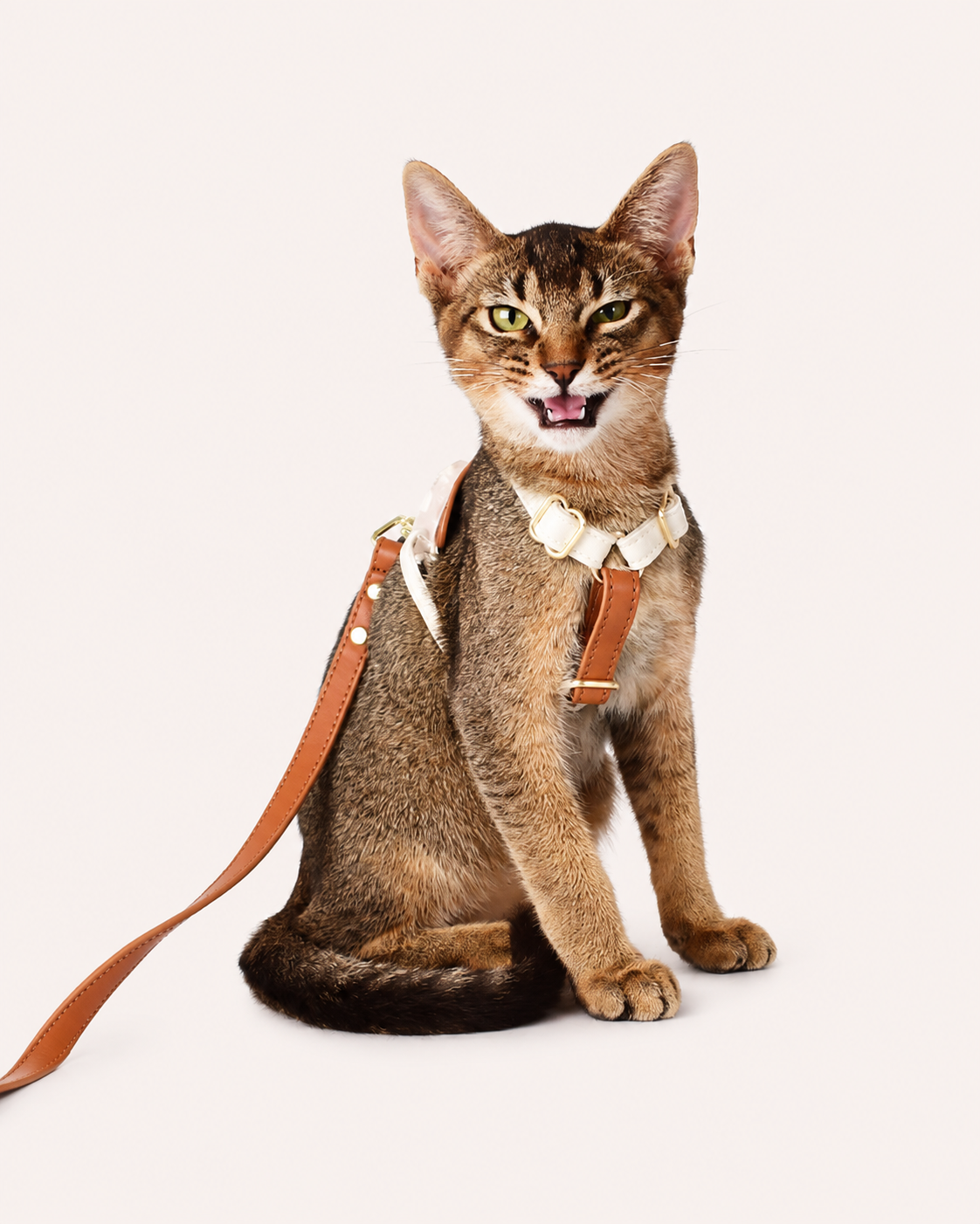 Soft Leather Cat & Small Dog Harness