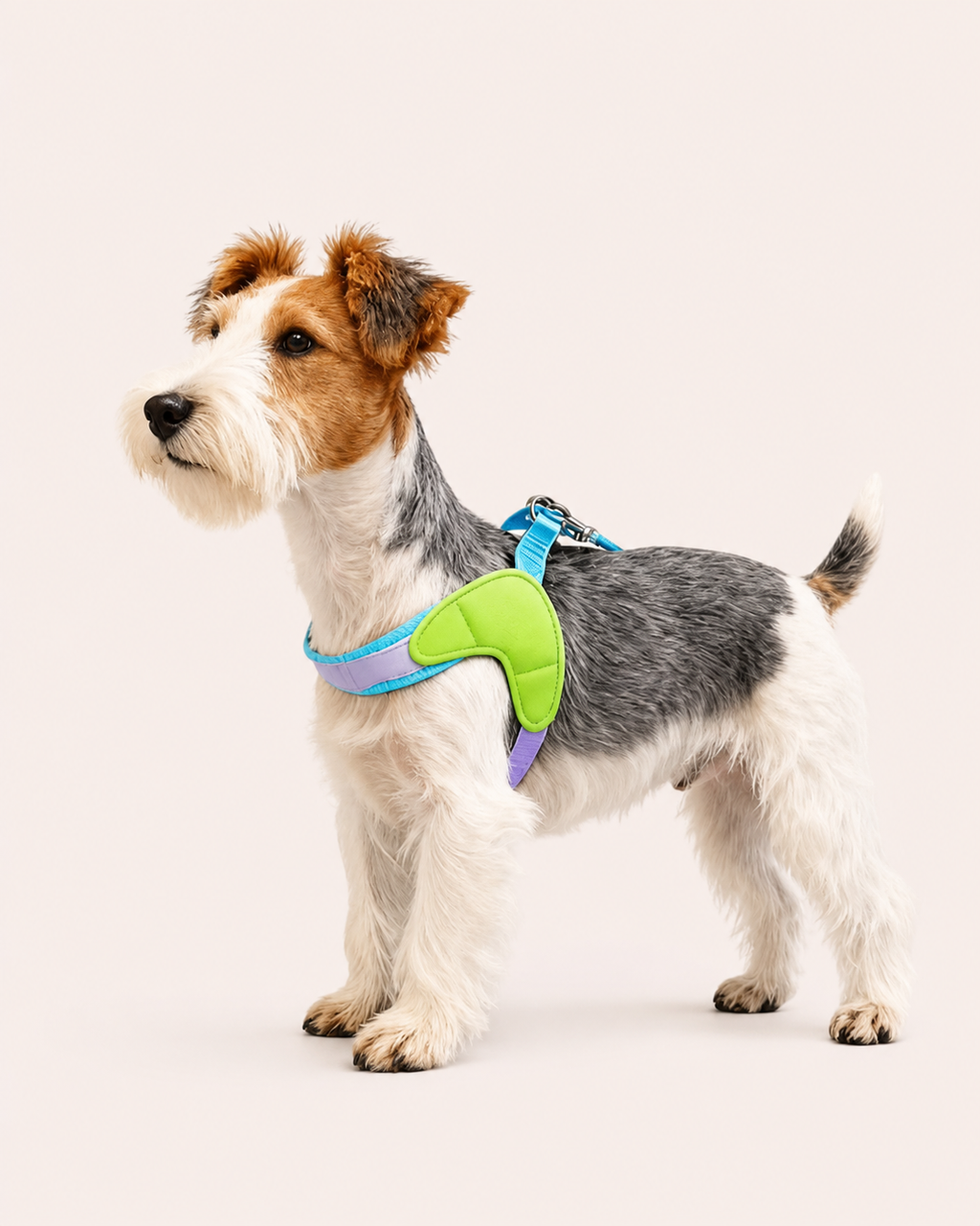 Dog Saddle Harness