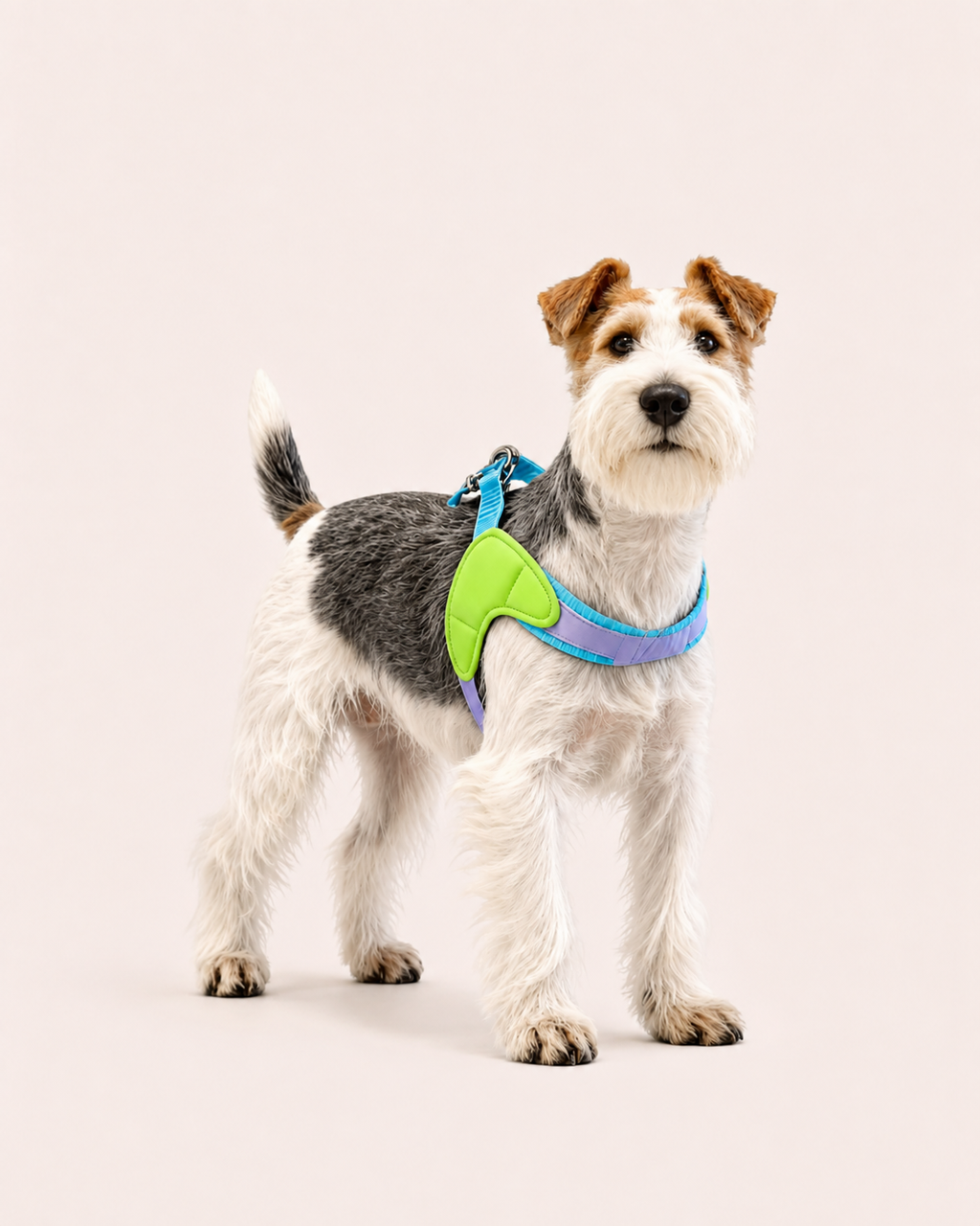 Dog Saddle Harness
