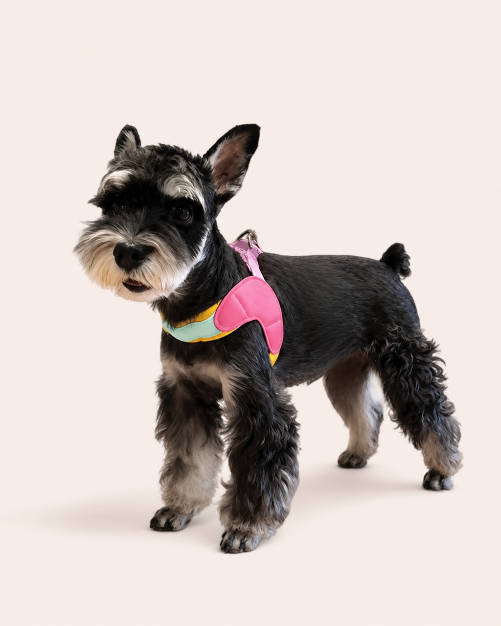 Dog Saddle Harness
