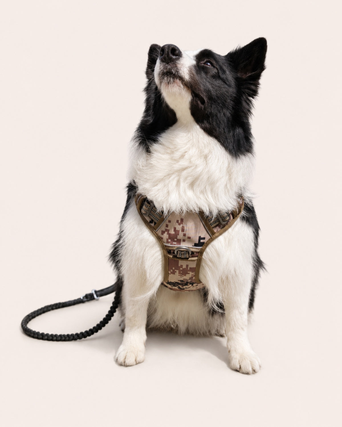 Heavy Dog Harness