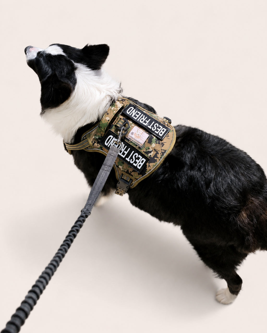 Heavy Dog Harness
