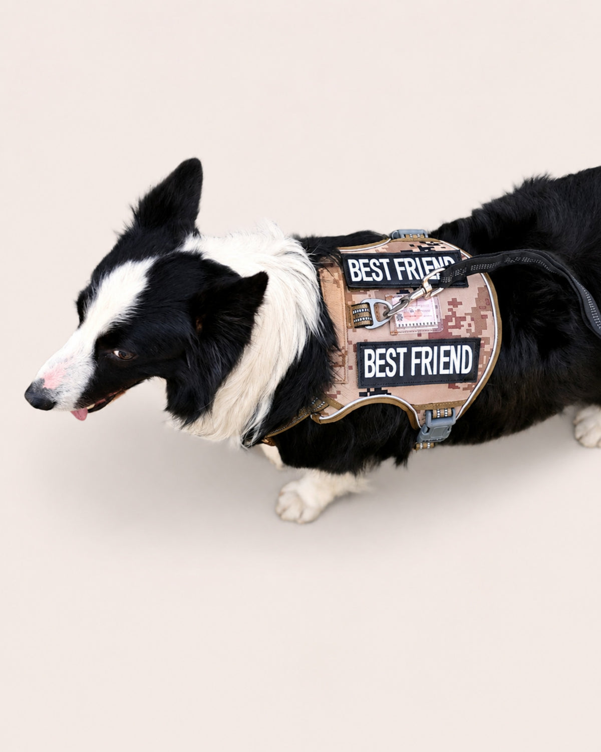 Heavy Dog Harness