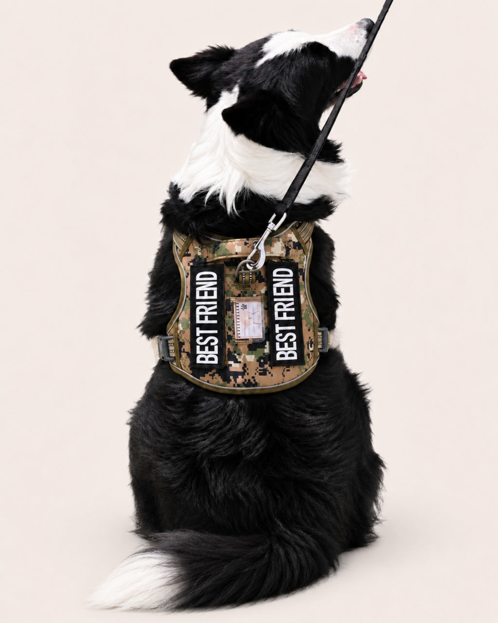 Heavy Dog Harness