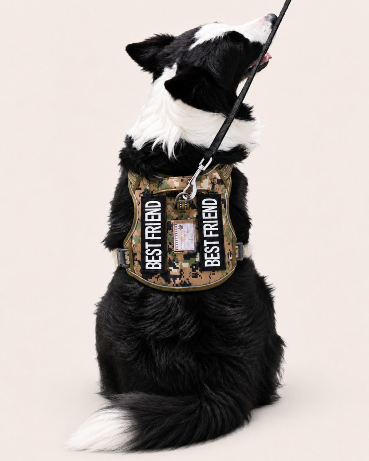 Heavy Dog Harness