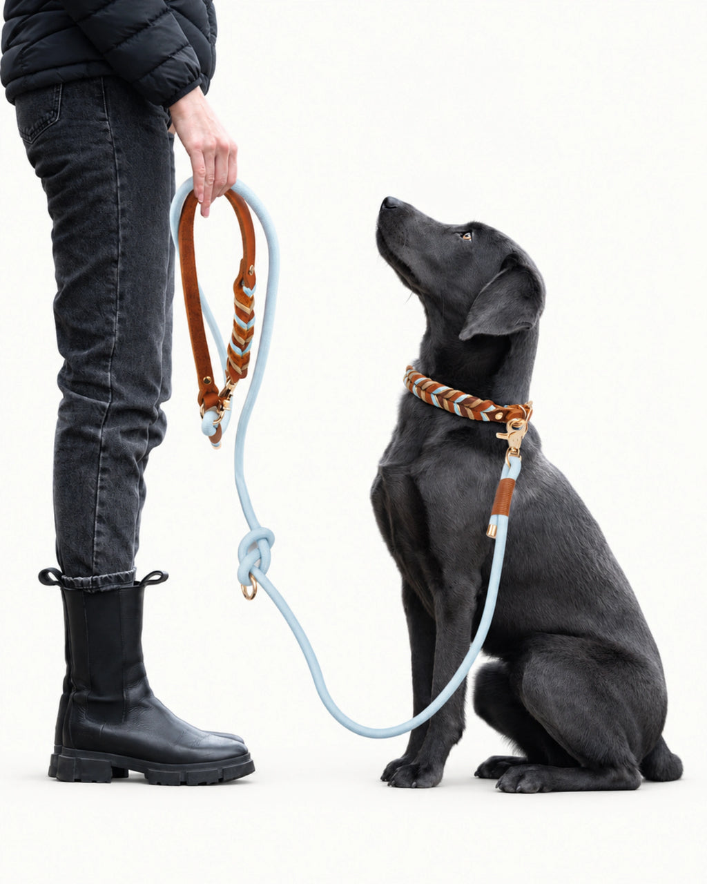 Braided Leather Dog Collar