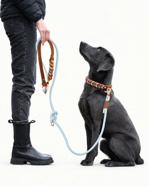 Braided Leather Rope Dog Leash