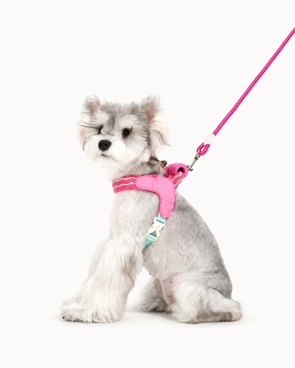 Puff-Cushion Dog Harness