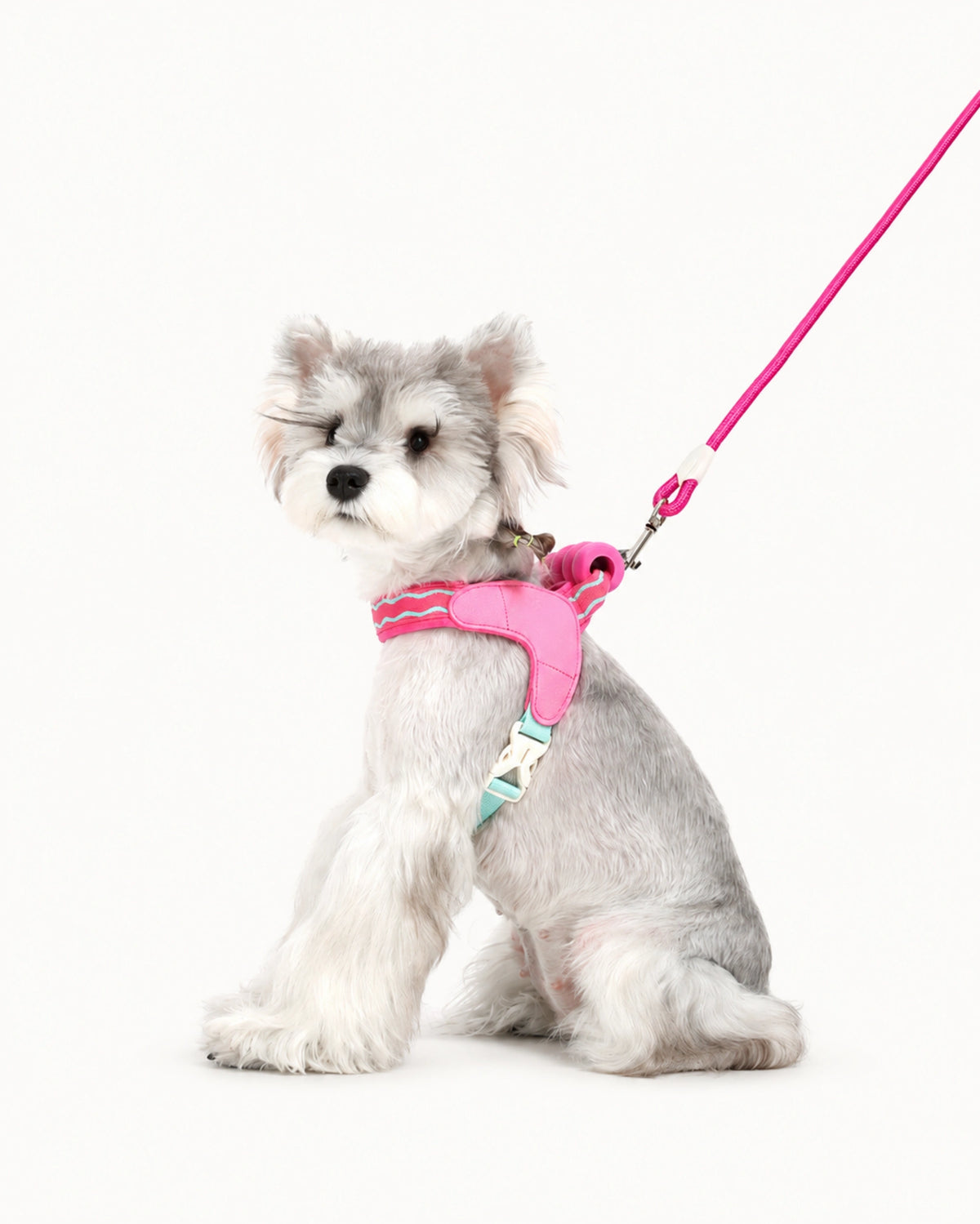 Puff-Cushion Dog Harness