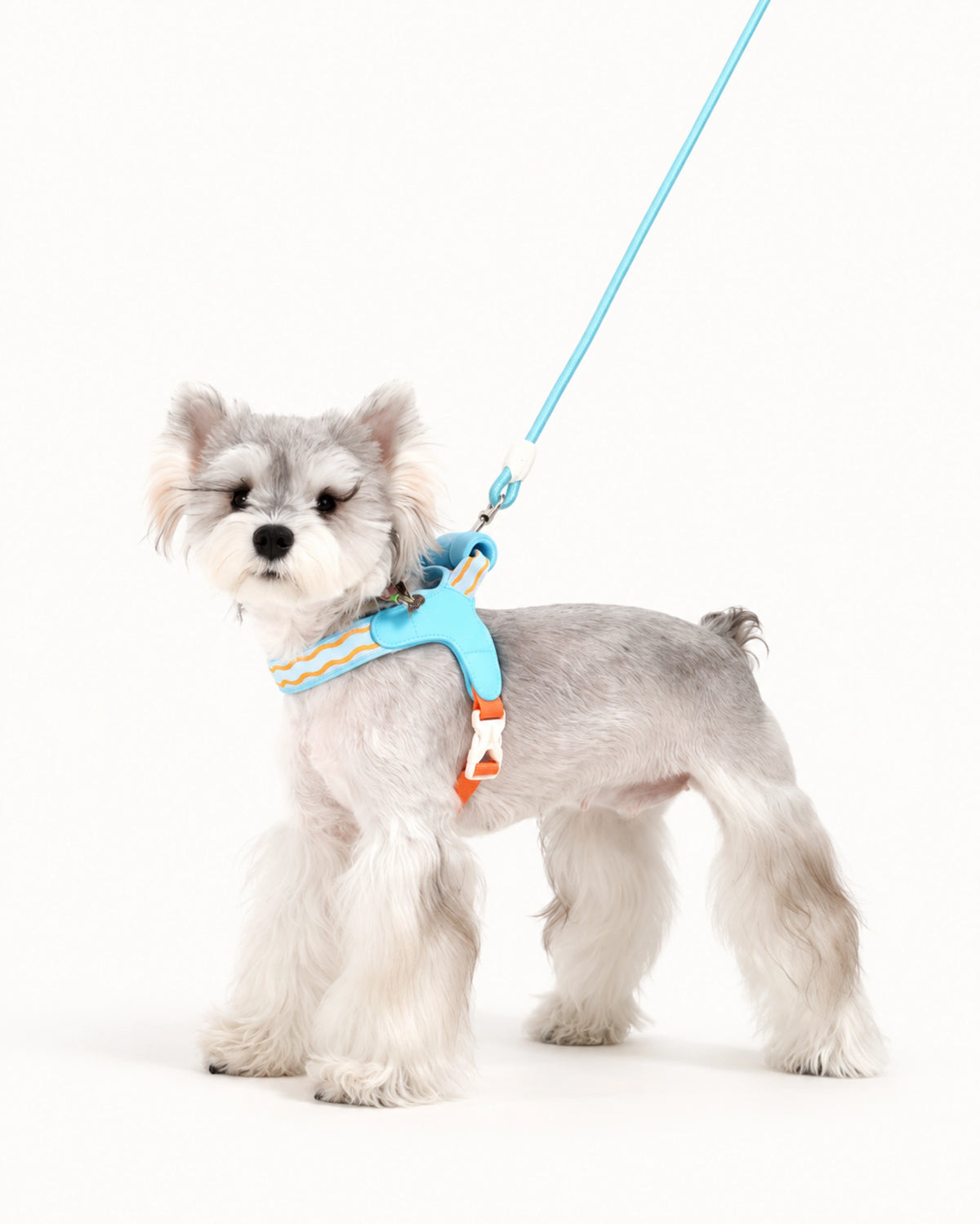 Padded Rope Dog Leash