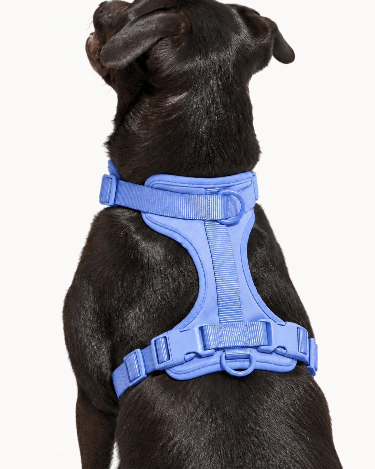 Lightweight Breathable Dog Harness