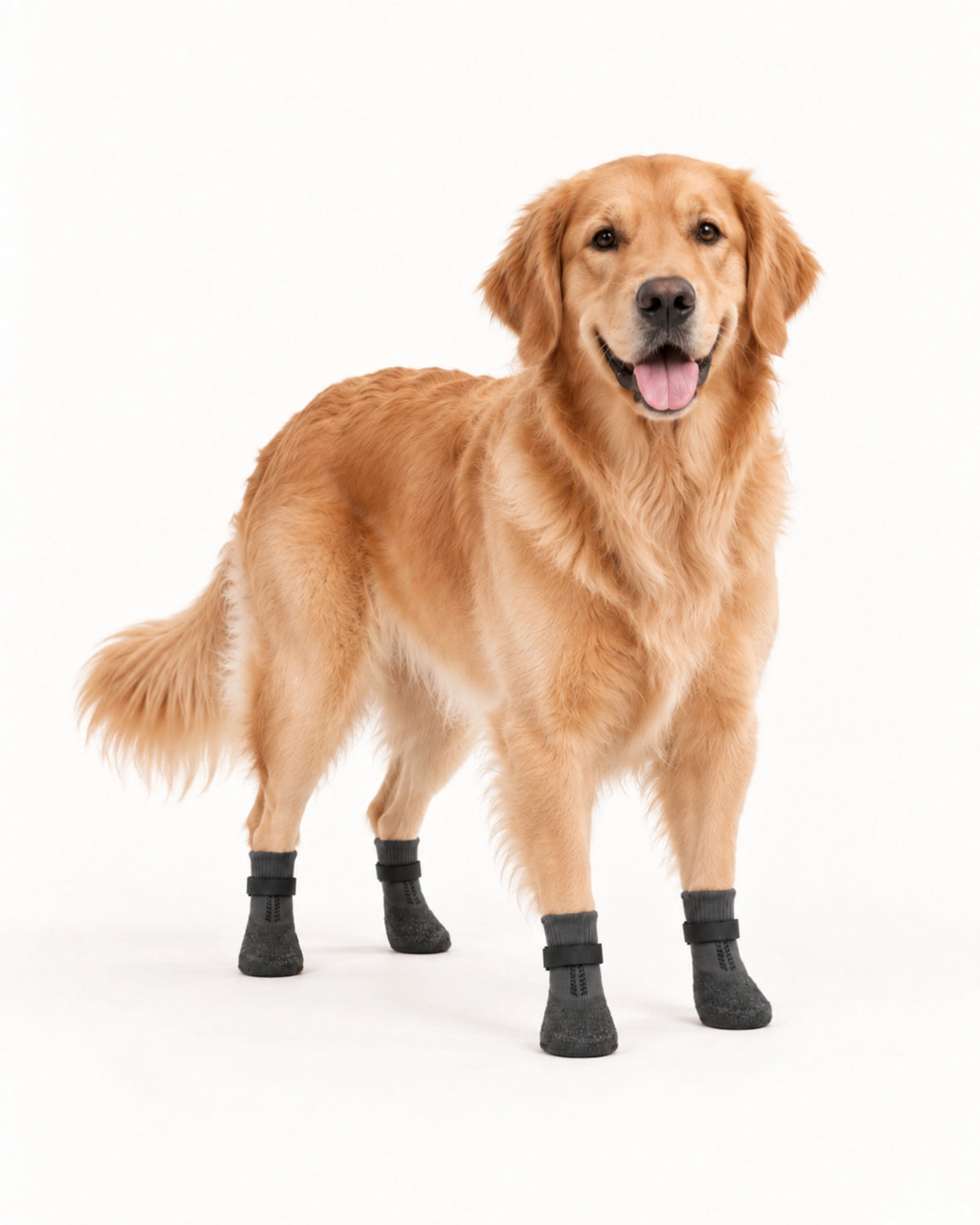 Waterproof Non-Slip Dog Shoes