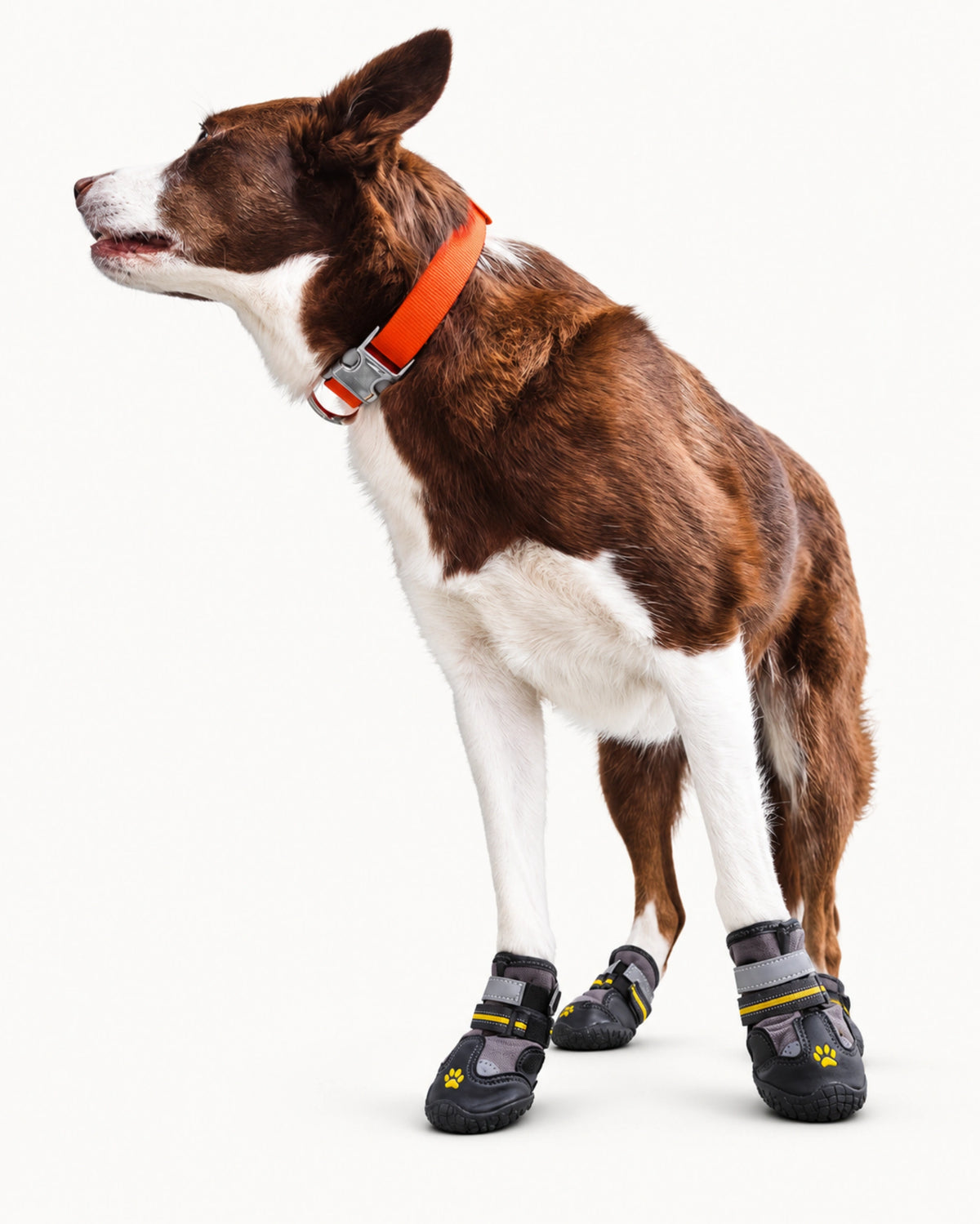 Waterproof Winter Dog Boots