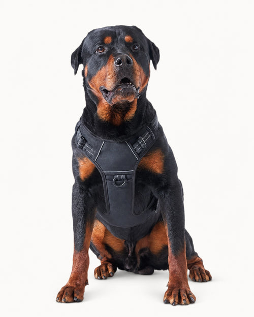 Adjustable Tactical Dog Harness