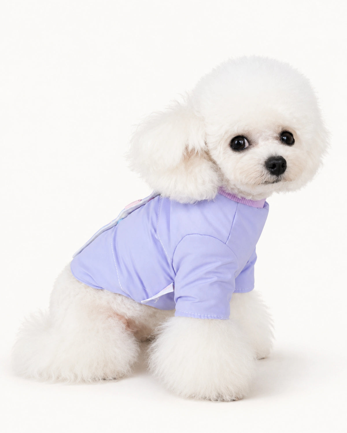 Color Snap Dog Jacket