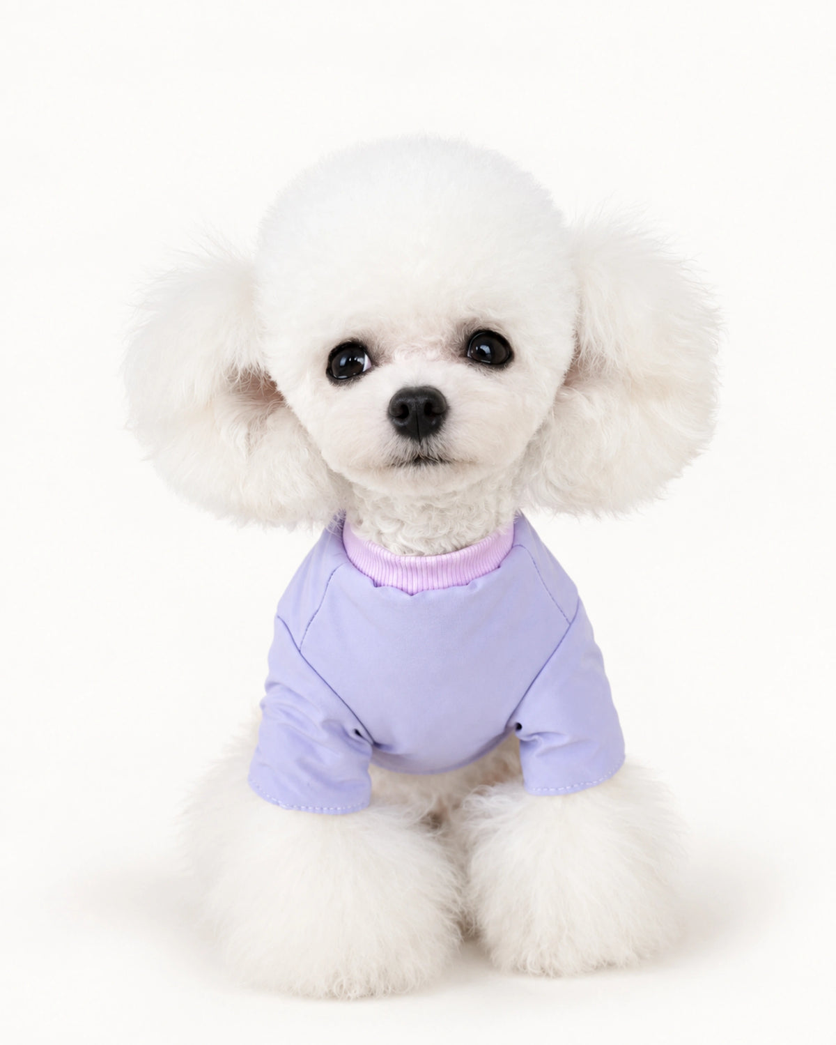 Color Snap Dog Jacket