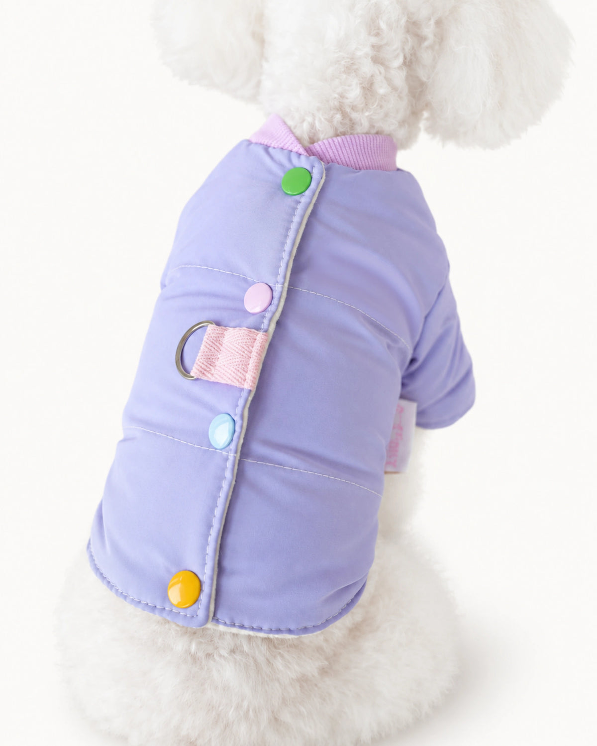 Color Snap Dog Jacket