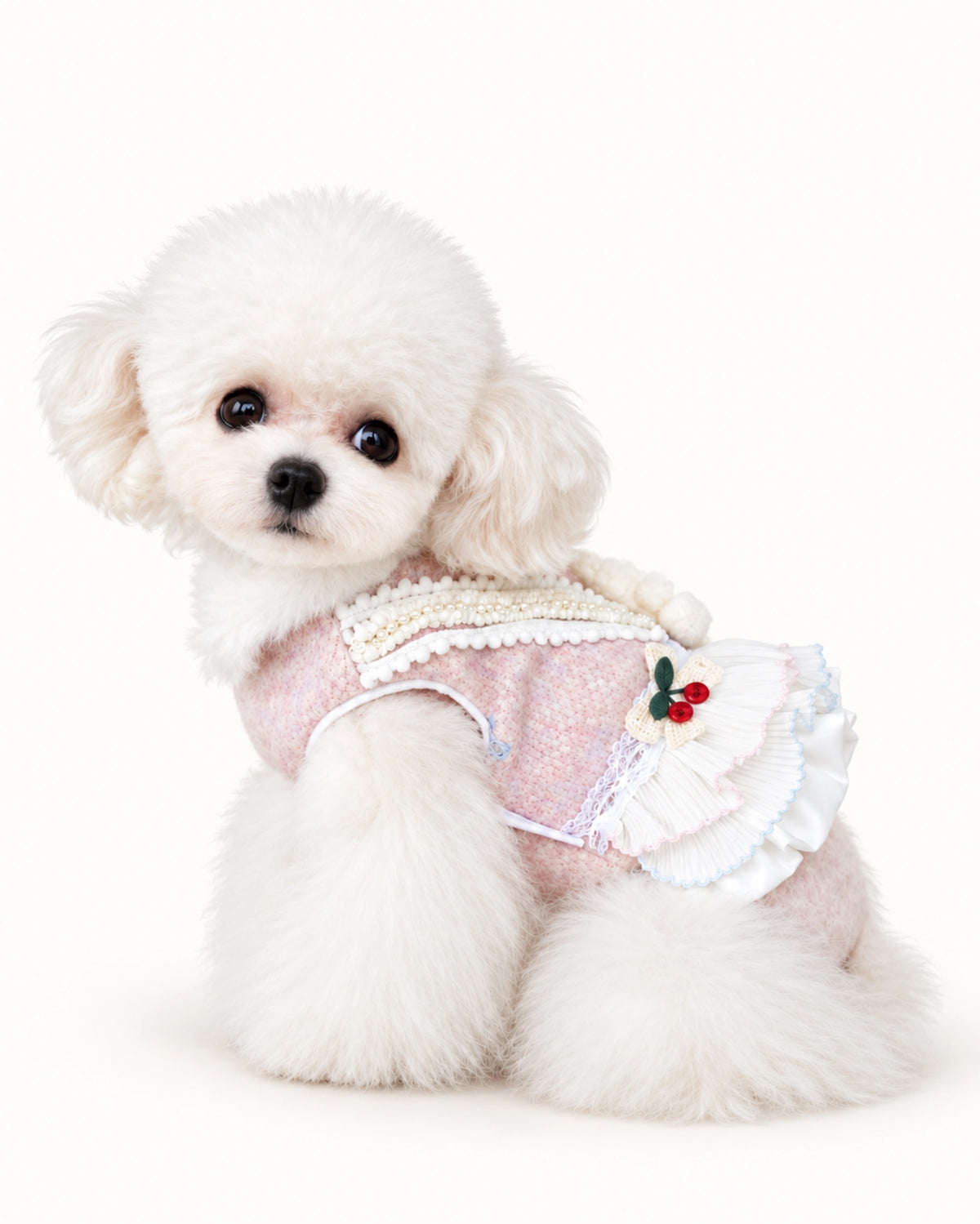 Cozy Bear Wool-Look Dog Dress