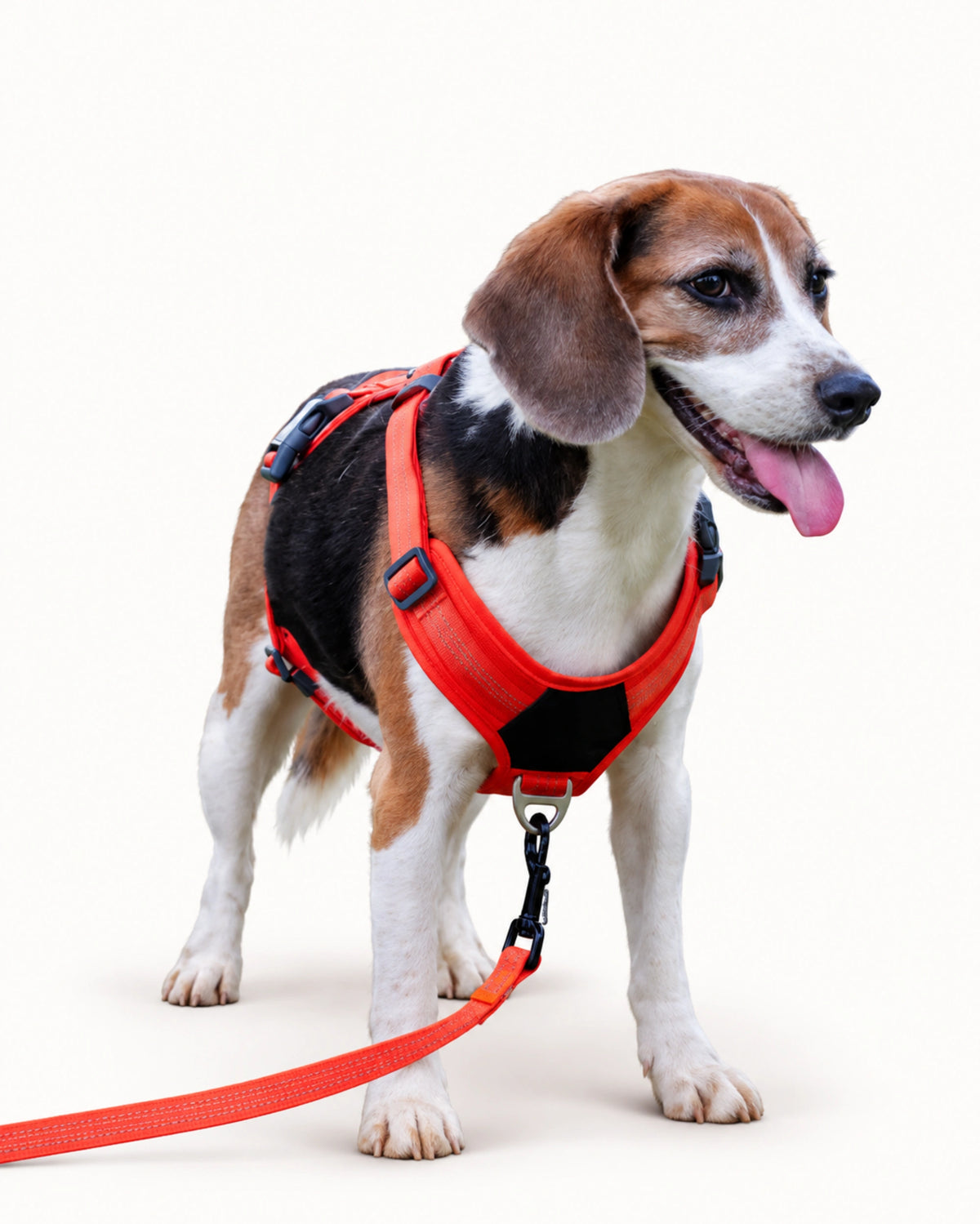 Adjustable Oxford Dog Harness