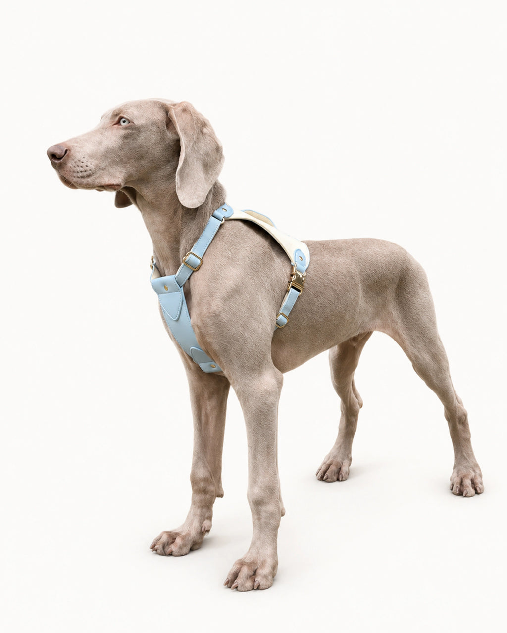Premium Leather Dog Harness