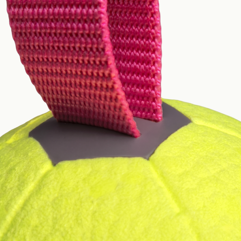 Floating Soccer Dog Toy