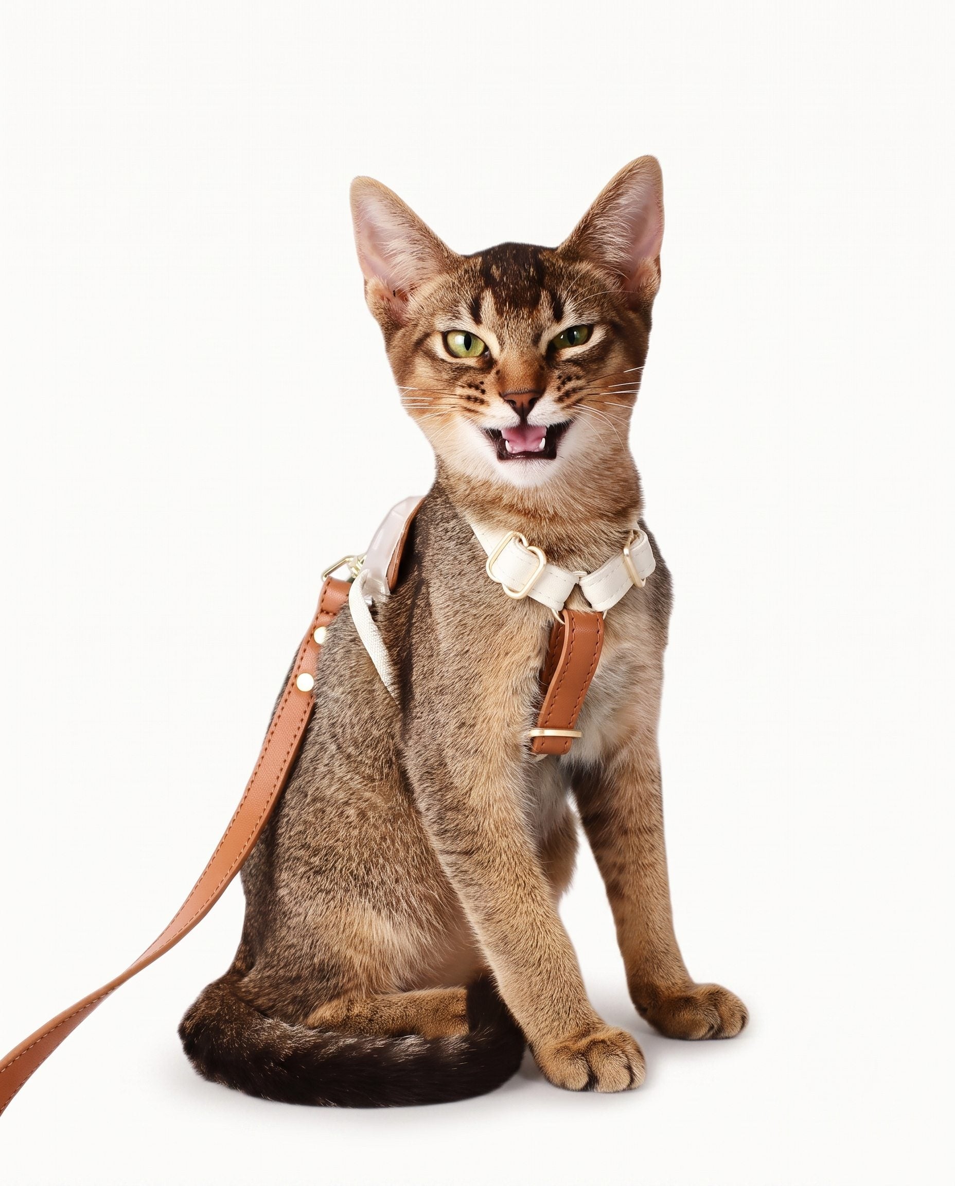 Soft Leather Cat & Small Dog Harness