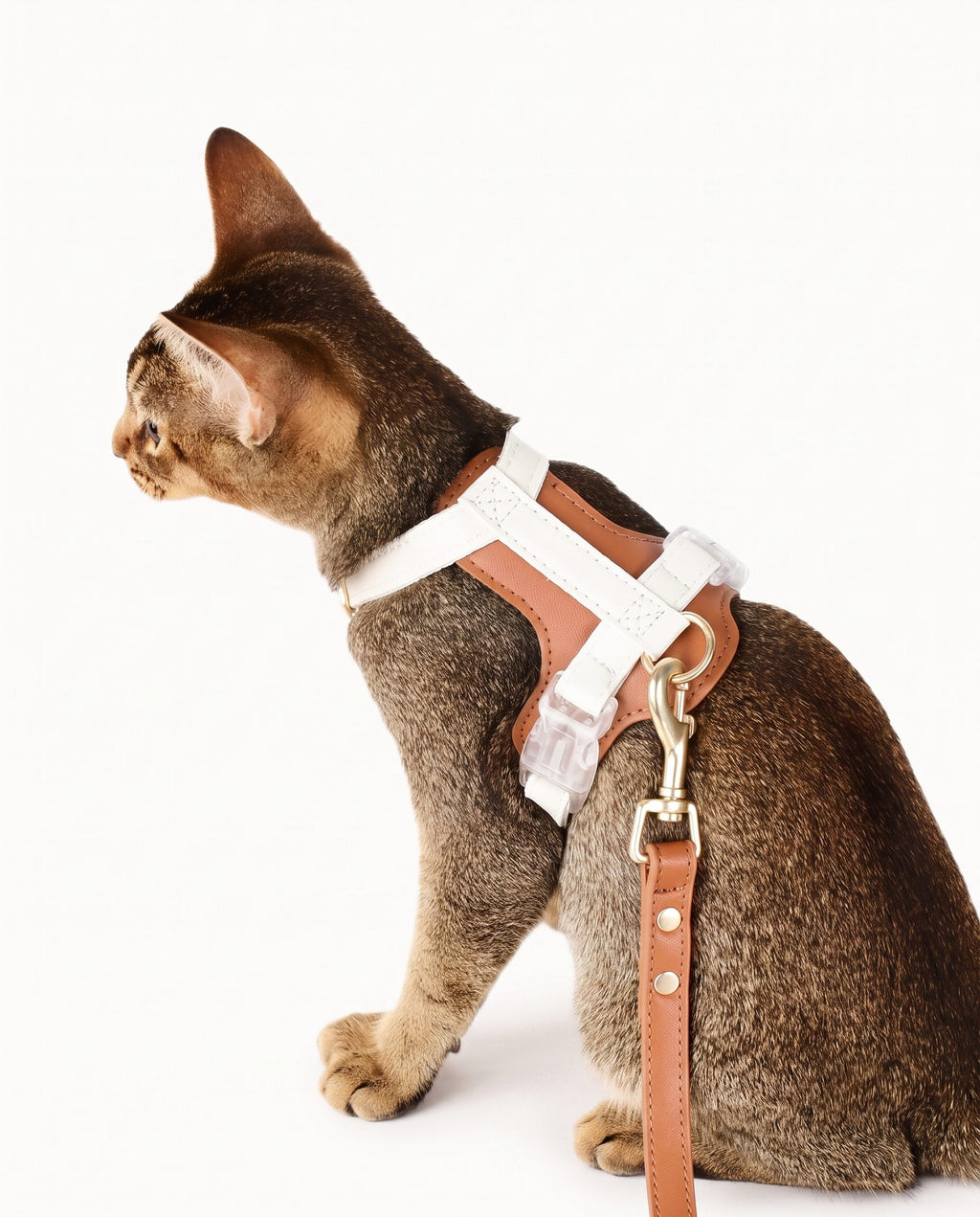 Soft Leather Cat & Small Dog Harness