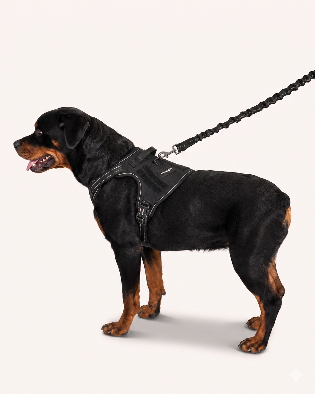 Heavy Dog Harness