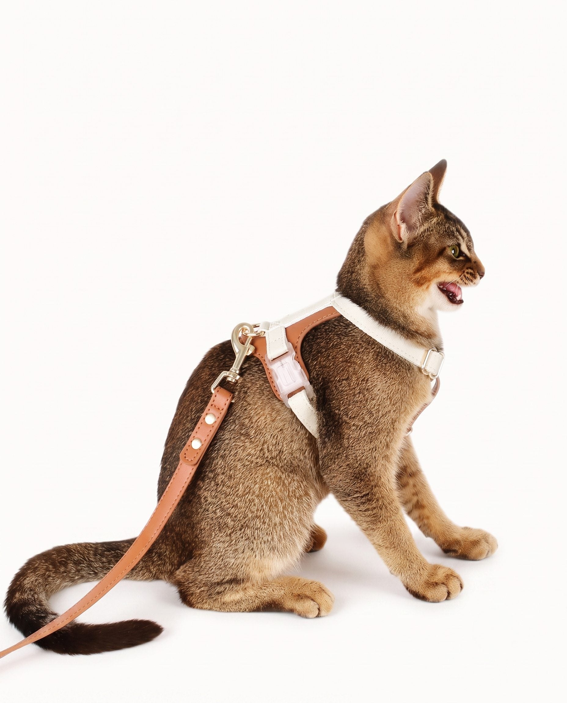 Soft Leather Cat & Small Dog Harness