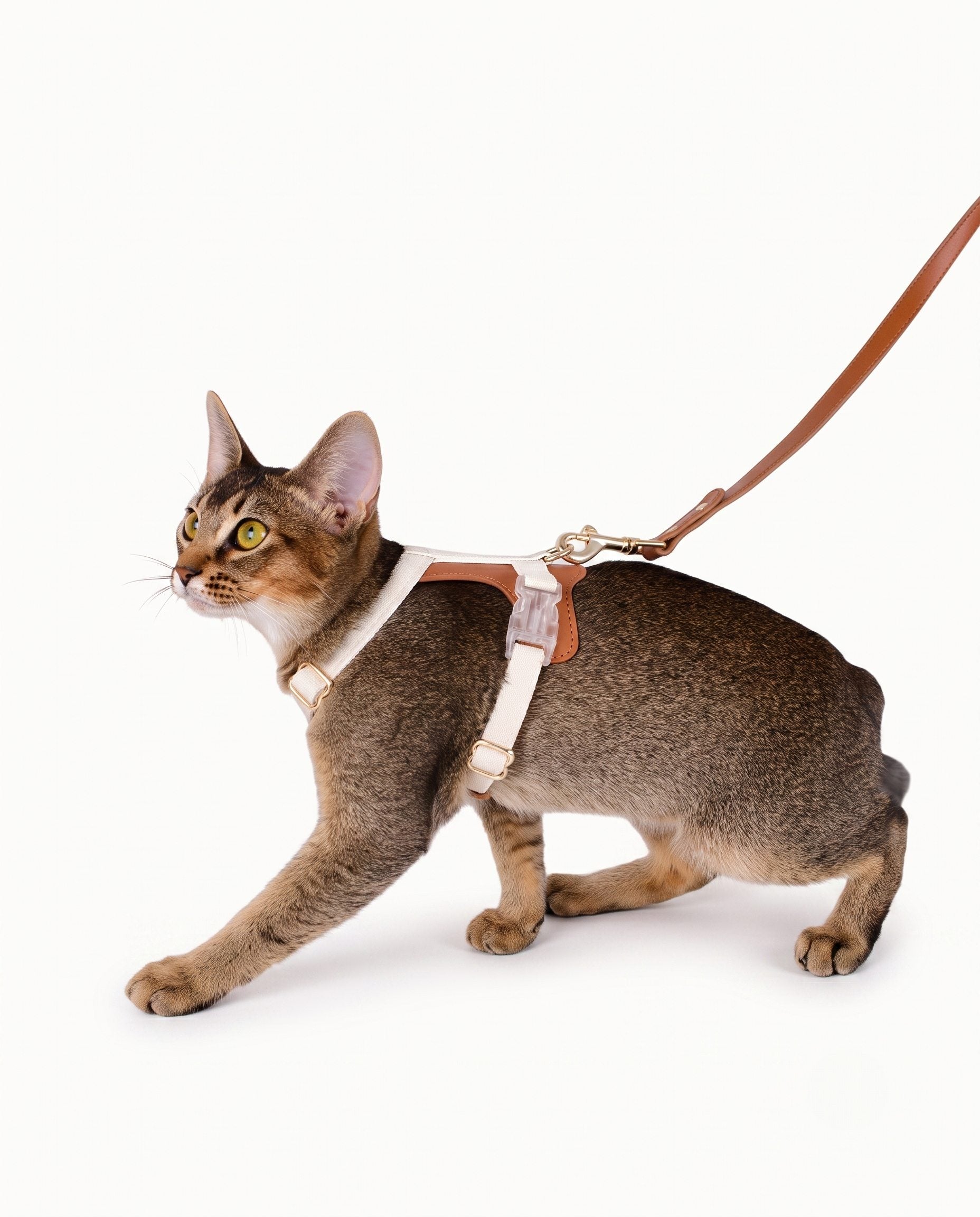 Premium Leather Cat Leash