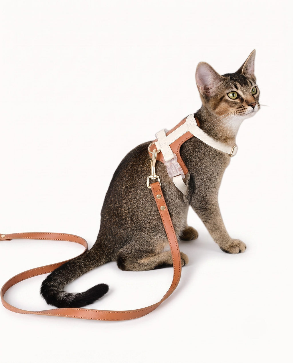 Soft Leather Cat & Small Dog Harness
