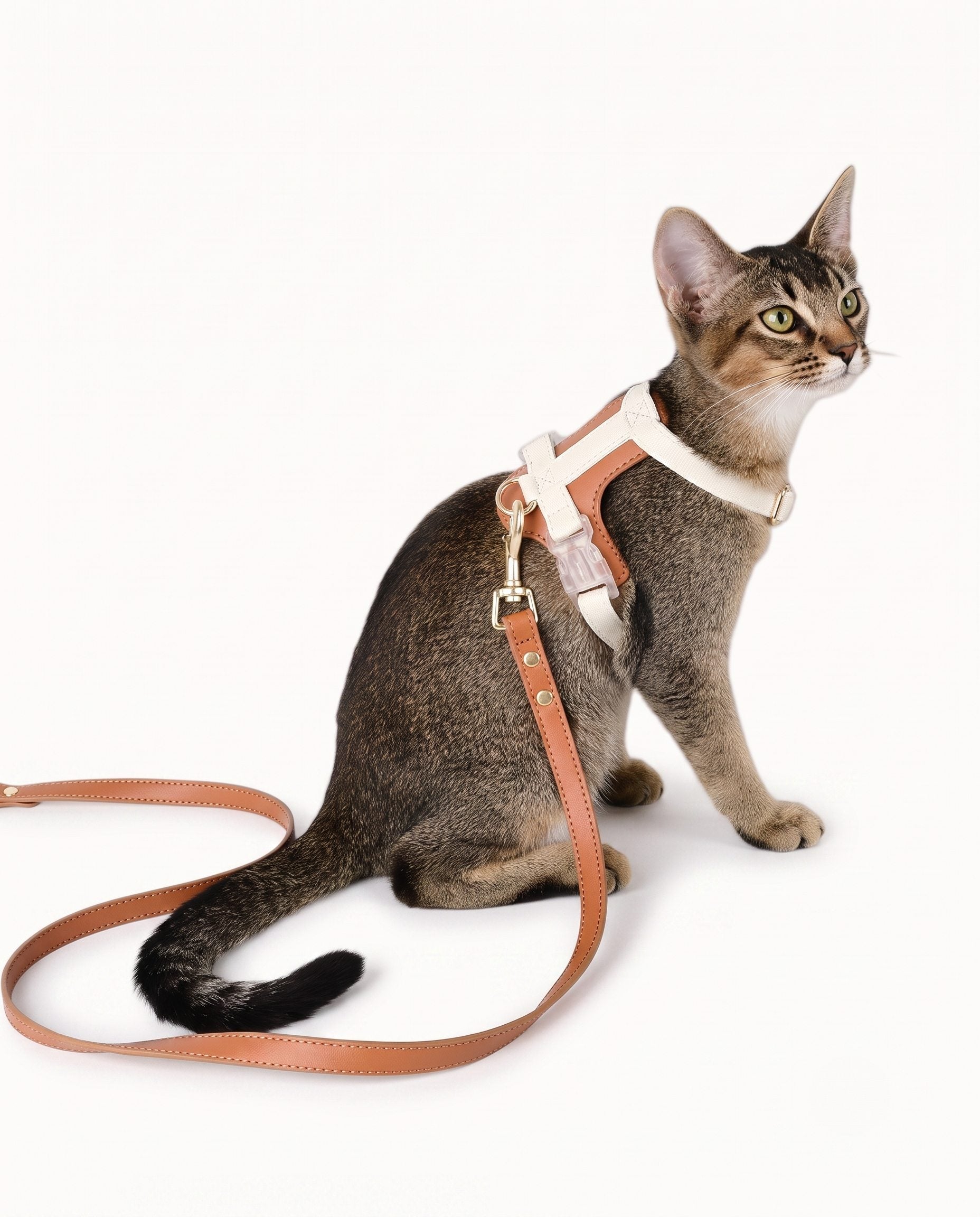 Soft Leather Cat & Small Dog Harness