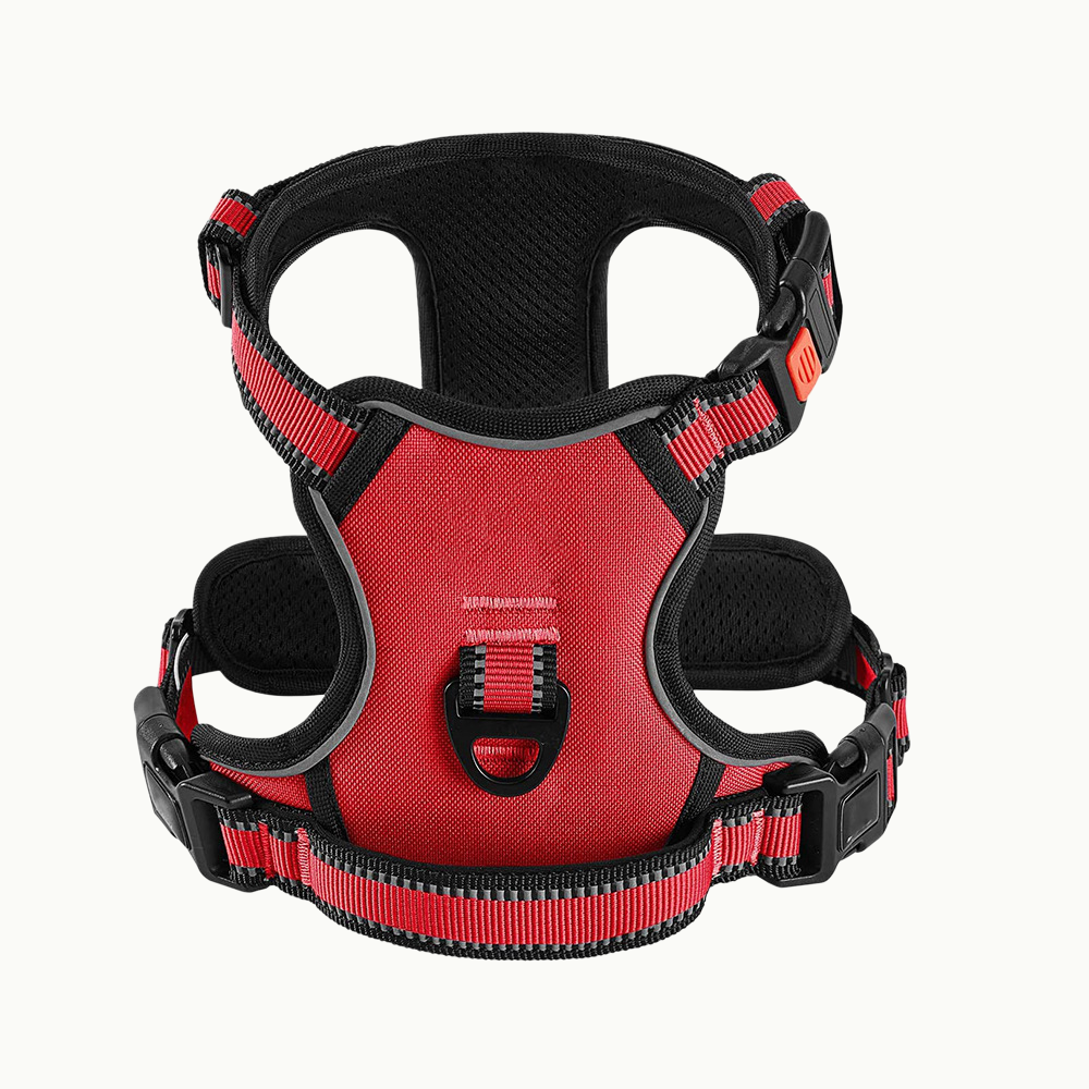 Reflective Dog Harness Set