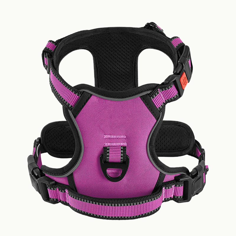 Reflective Dog Harness Set
