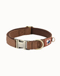 Soft Padded Dog Collar