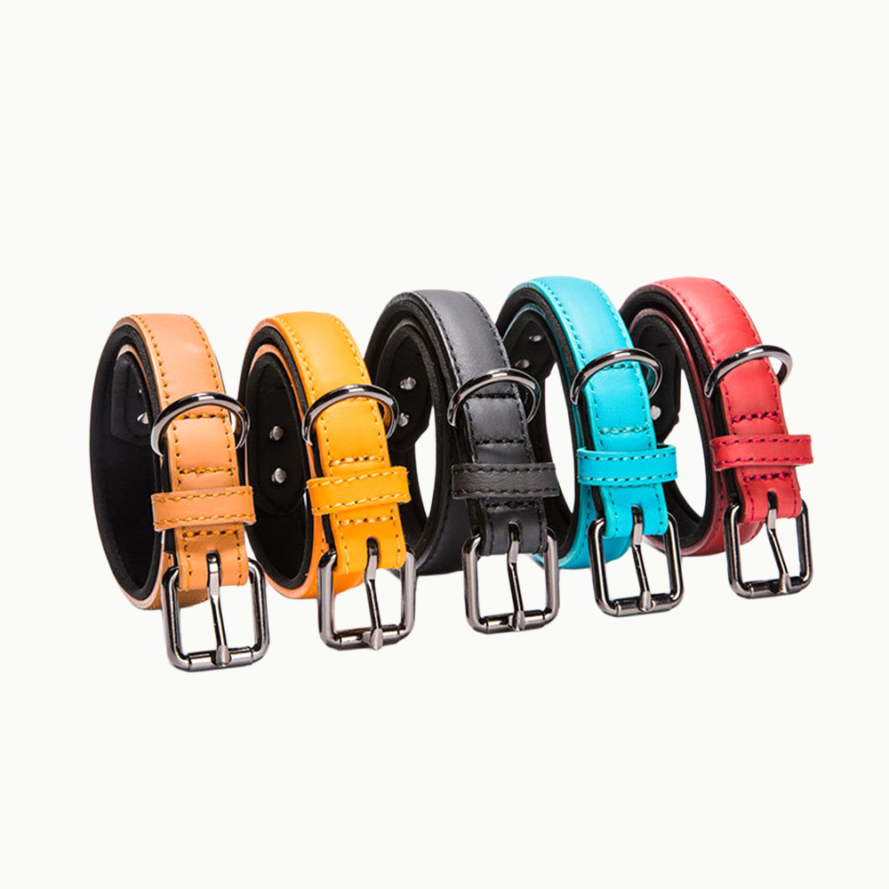 Waterproof Leather Dog Collar