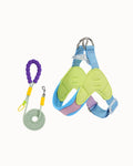 Y-Shaped Dog Harness & Leash Set