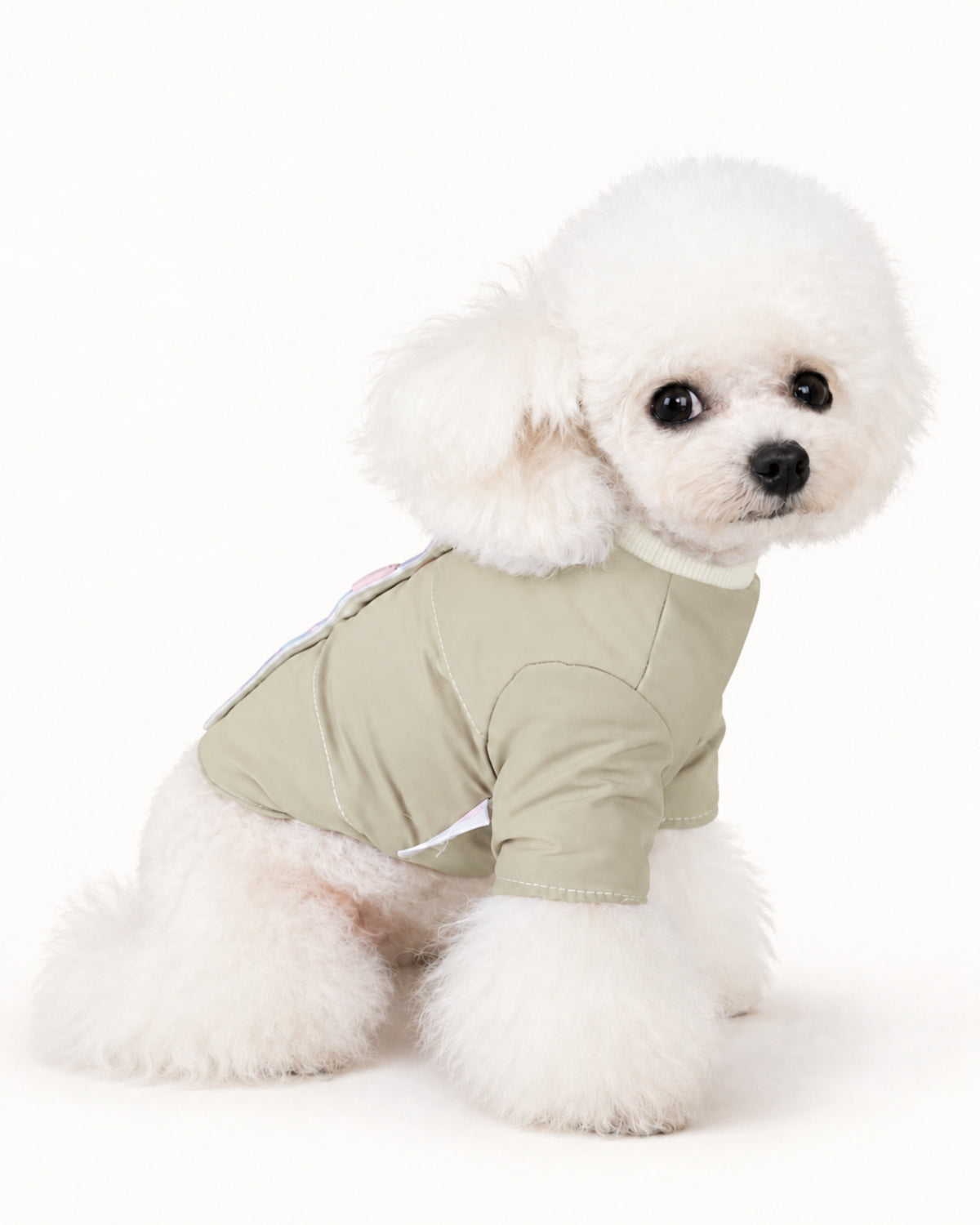Color Snap Dog Jacket
