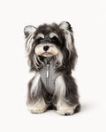 Zip-Up Knit Dog Sweatshirt