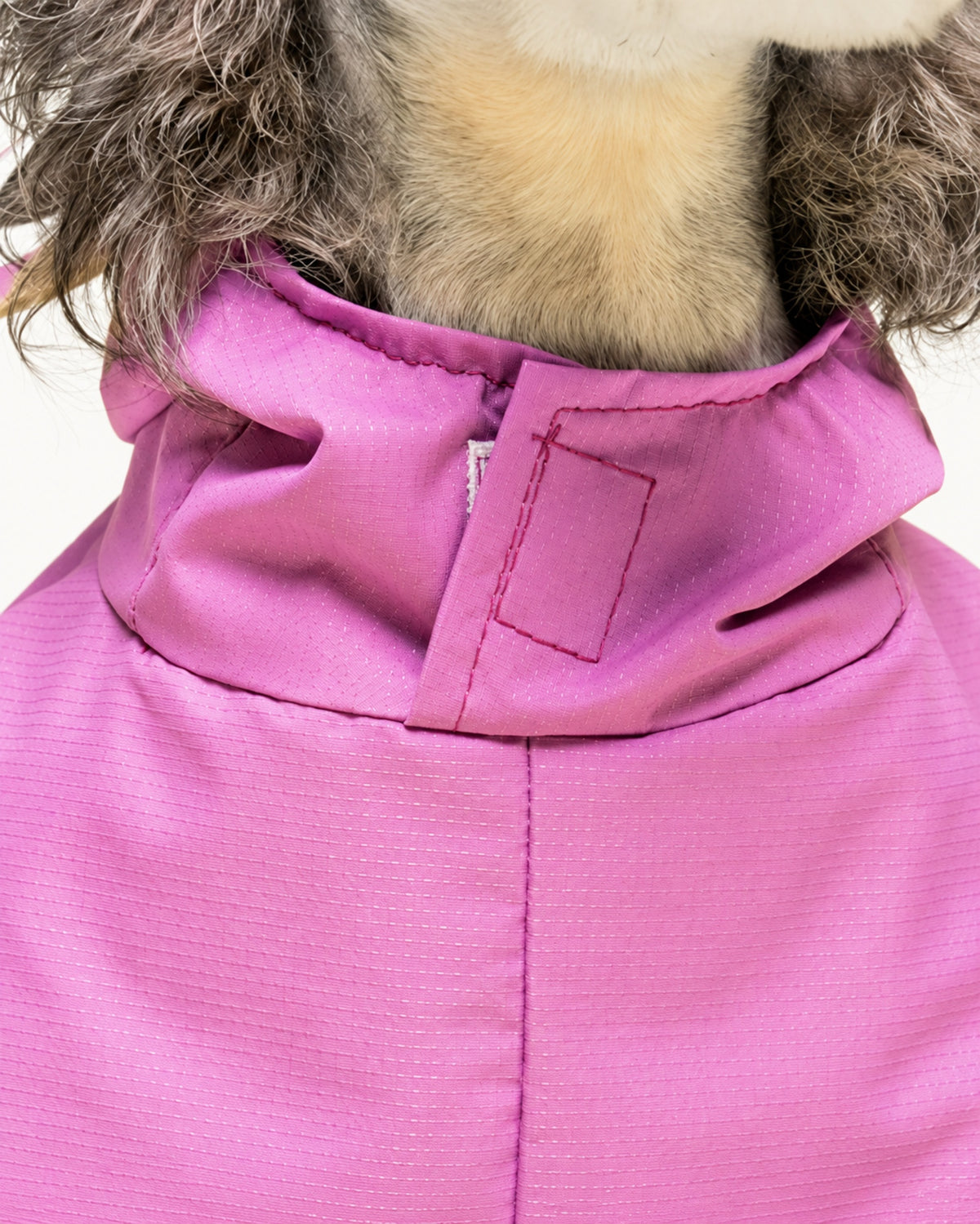 Waterproof Dog Raincoat