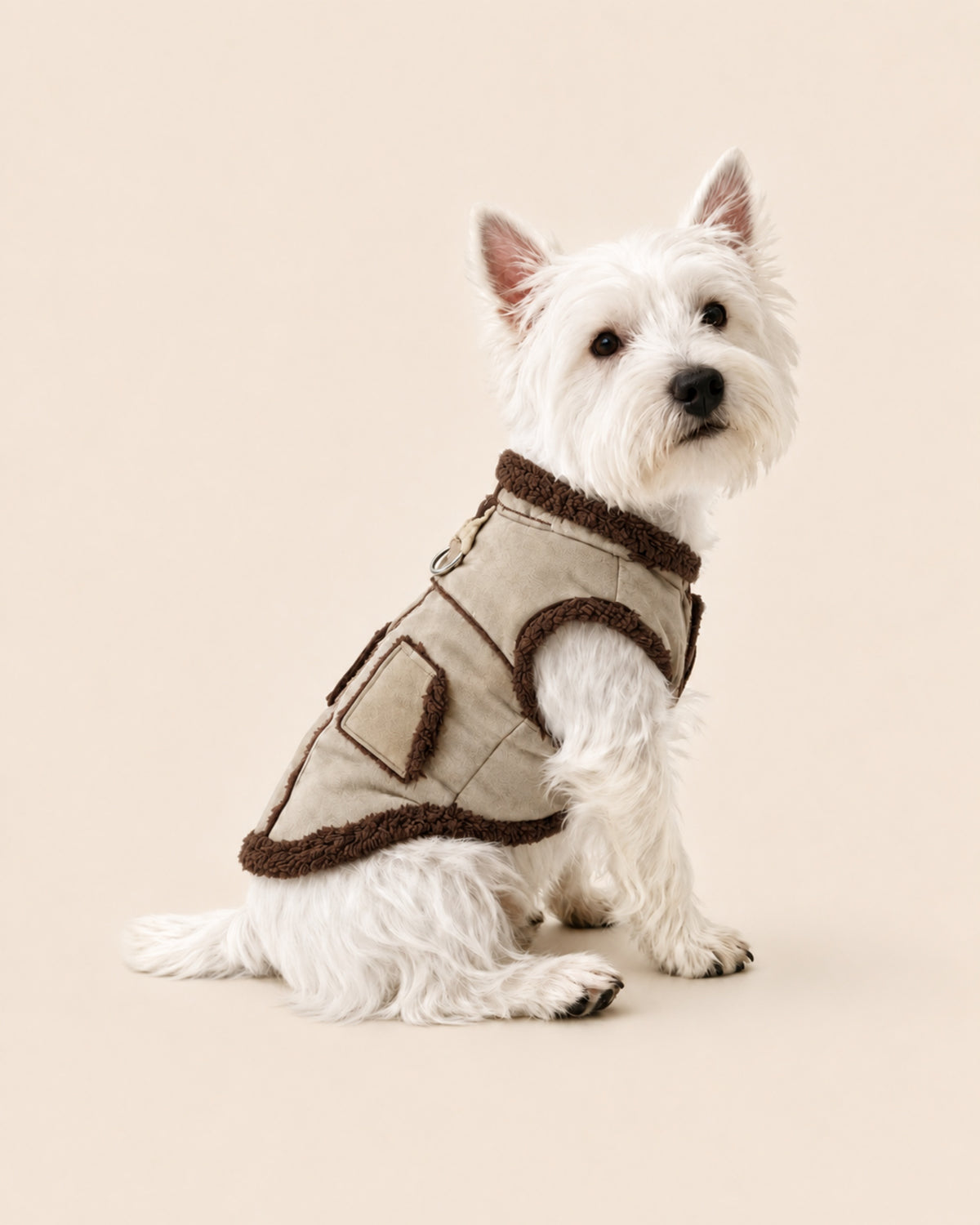 Fleece-Lined Dog Sweatshirt