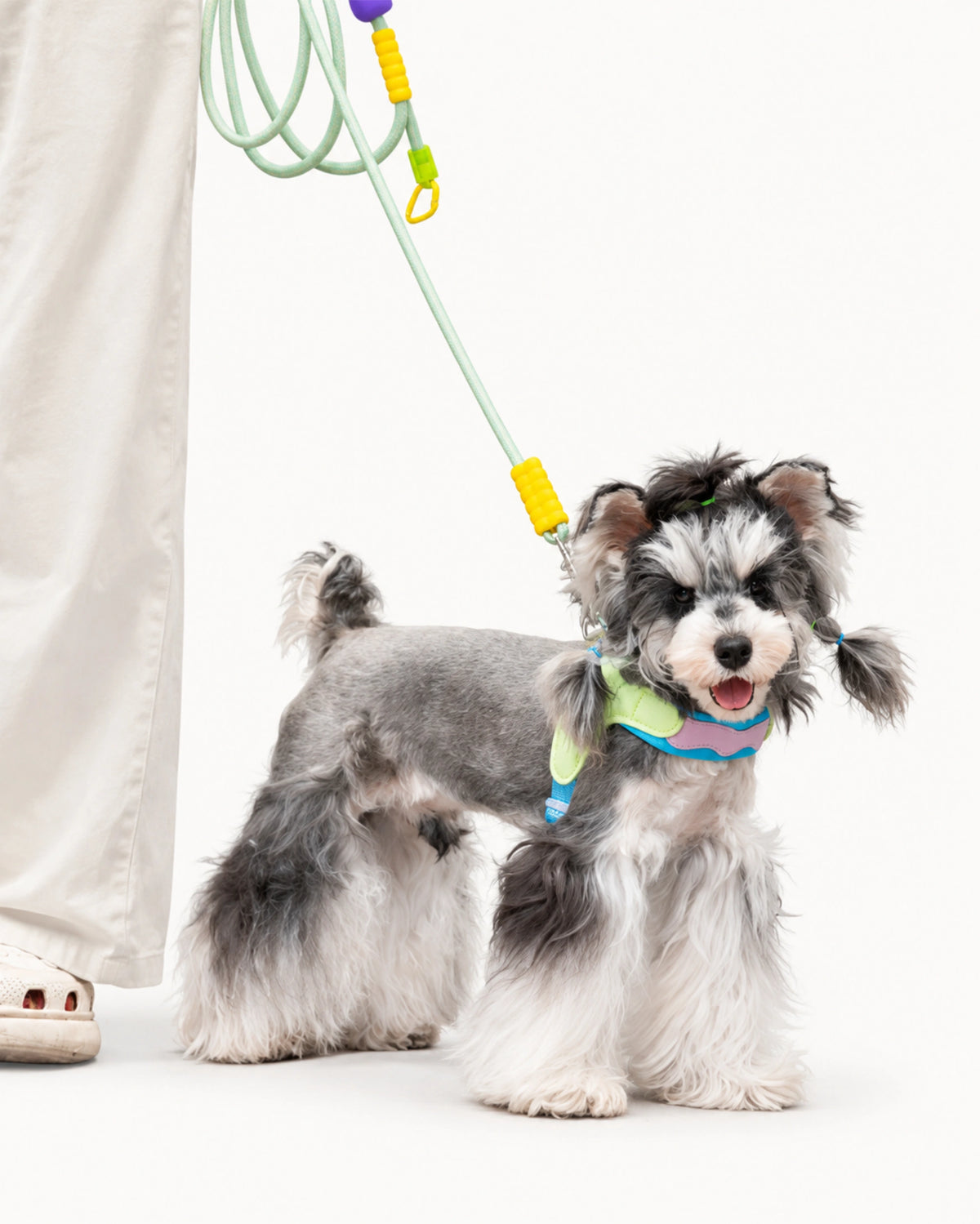 Adjustable Saddle Dog Harness