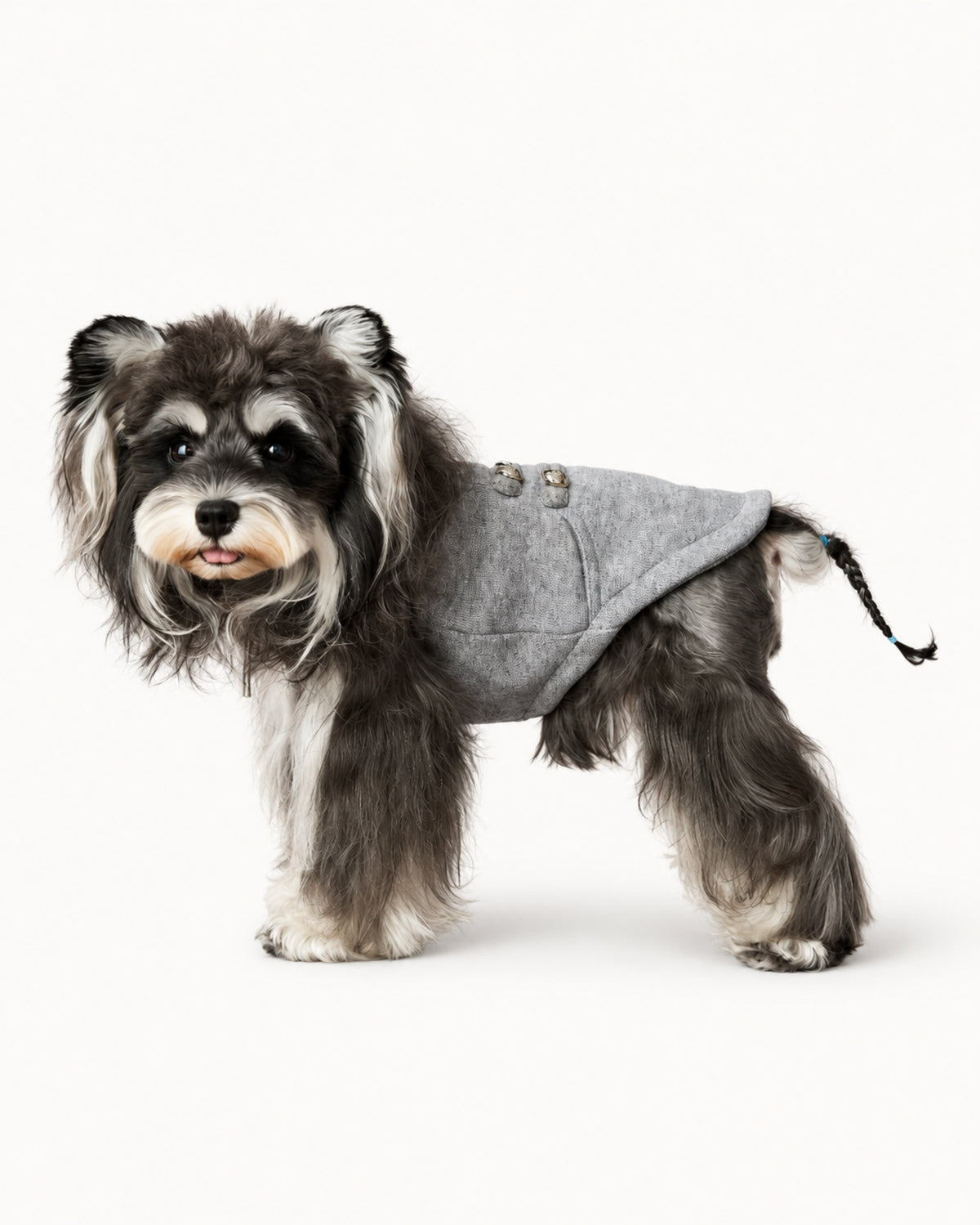 Zip-Up Knit Dog Sweatshirt