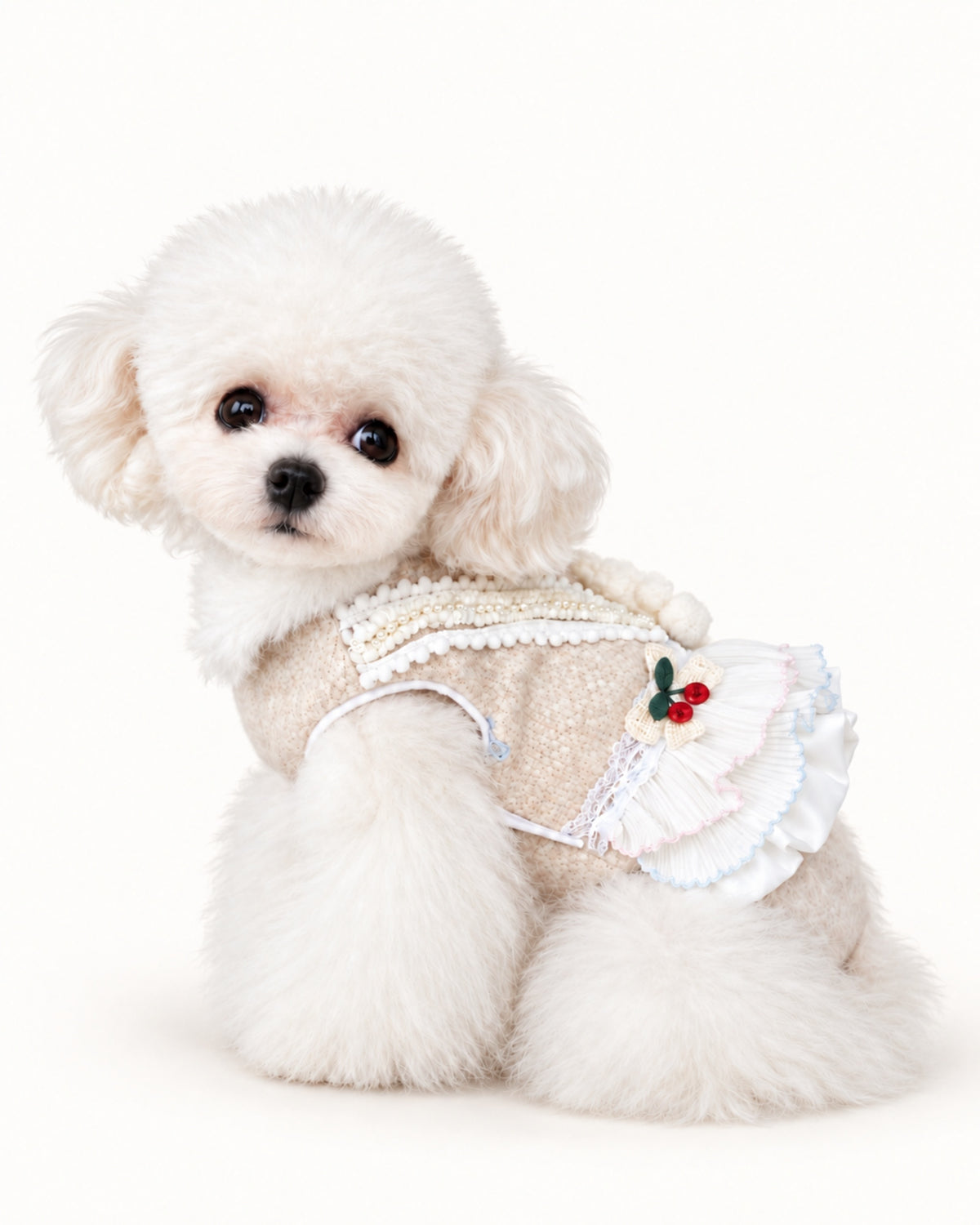 Cozy Bear Wool-Look Dog Dress