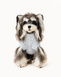 Knit Dog Sweater Vest
